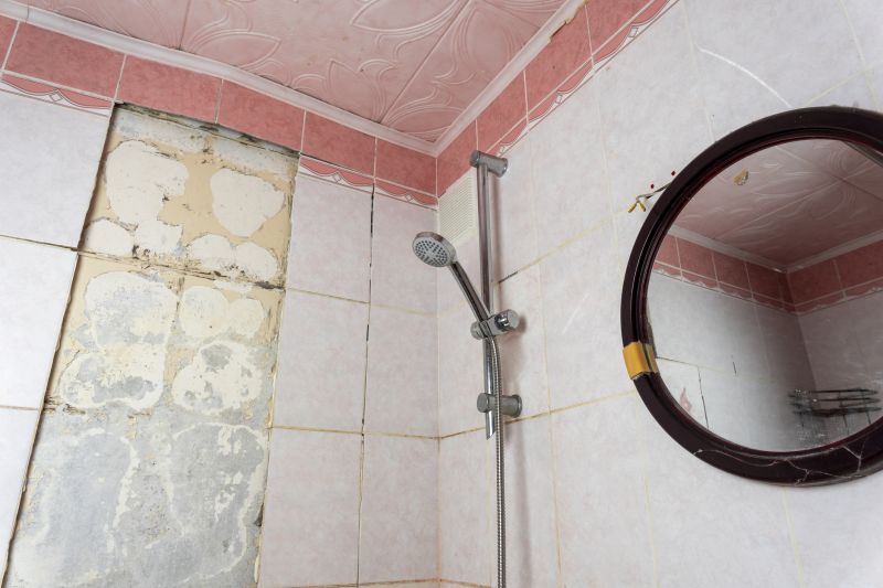 Shower Remodeling in Viola, DE